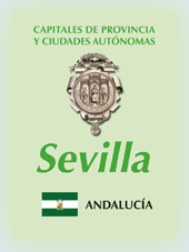 Imagen con la bandera la comunidad autnoma, y con el escudo la ciudad de Sevilla